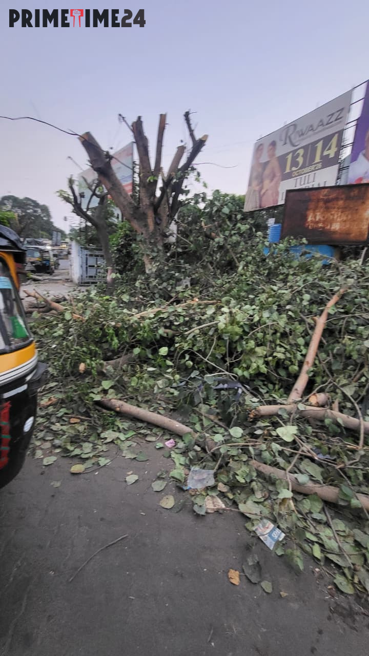 मेडिकल चौक में करीब 100 साल पुराने 5 पेड़ काटे जाने का आरोप, विज्ञापन कंपनी के कर्मचारियों पर संदेह
