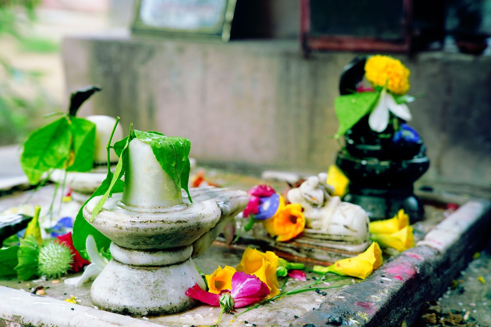 मासिक शिवरात्री ९ की १० सप्टेंबरला, जाणून घ्या पूजेचा मुहूर्त आणि महत्त्व