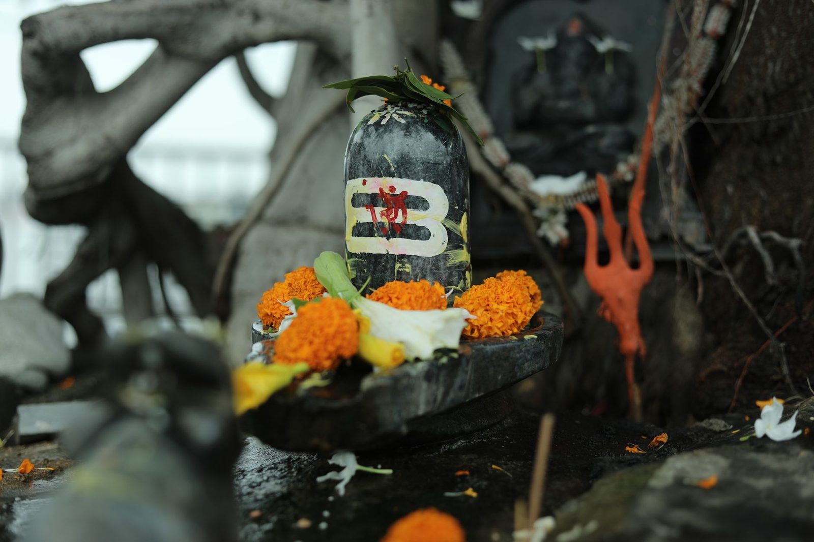 400-year-old Shiva lingam restored in Chandrapur, Amruta Fadnavis attends