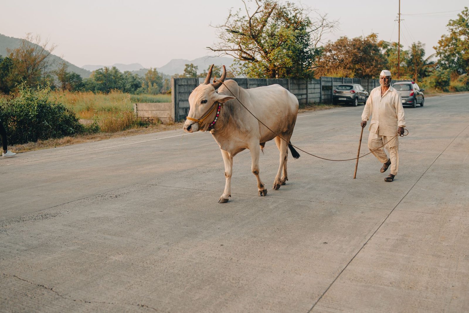 जमिनीच्या जुन्या वादातून भावानेच केला सख्ख्या भावाचा खून; न्यायालयाने आरोपीला सुनावली जन्मठेपेची मोठी शिक्षा