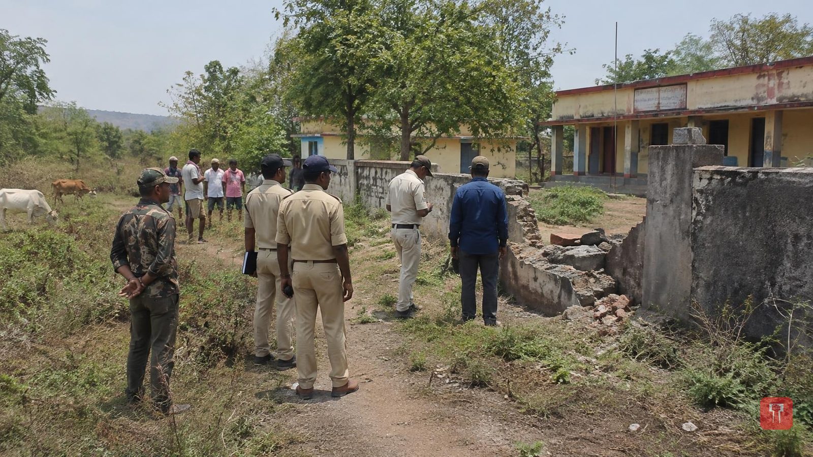 Tiger kills herder near school in Chandrapur, human-wildlife toll hits thirty