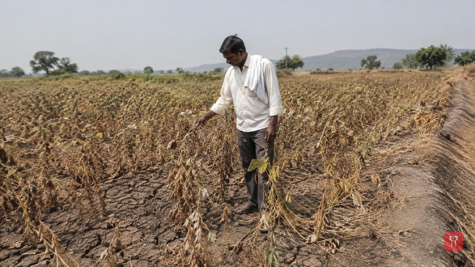 Sharad Pawar writes to CM Fadnavis, demands drought be declared, lists 9 demands