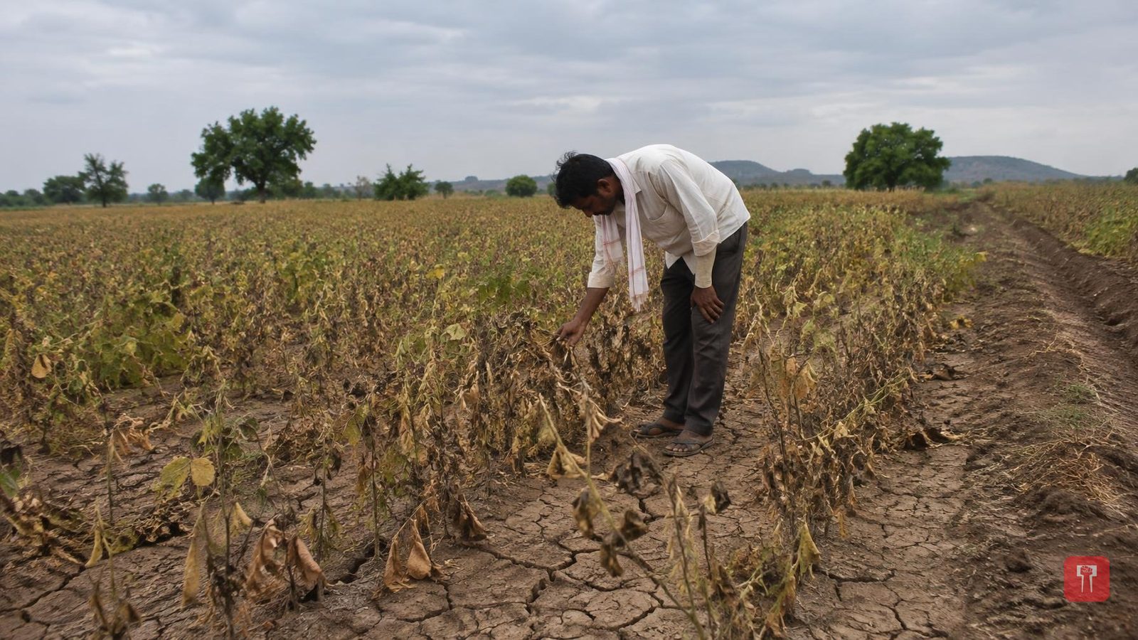 Maharashtra set to declare 100 percent drought, says cooperation minister Patil