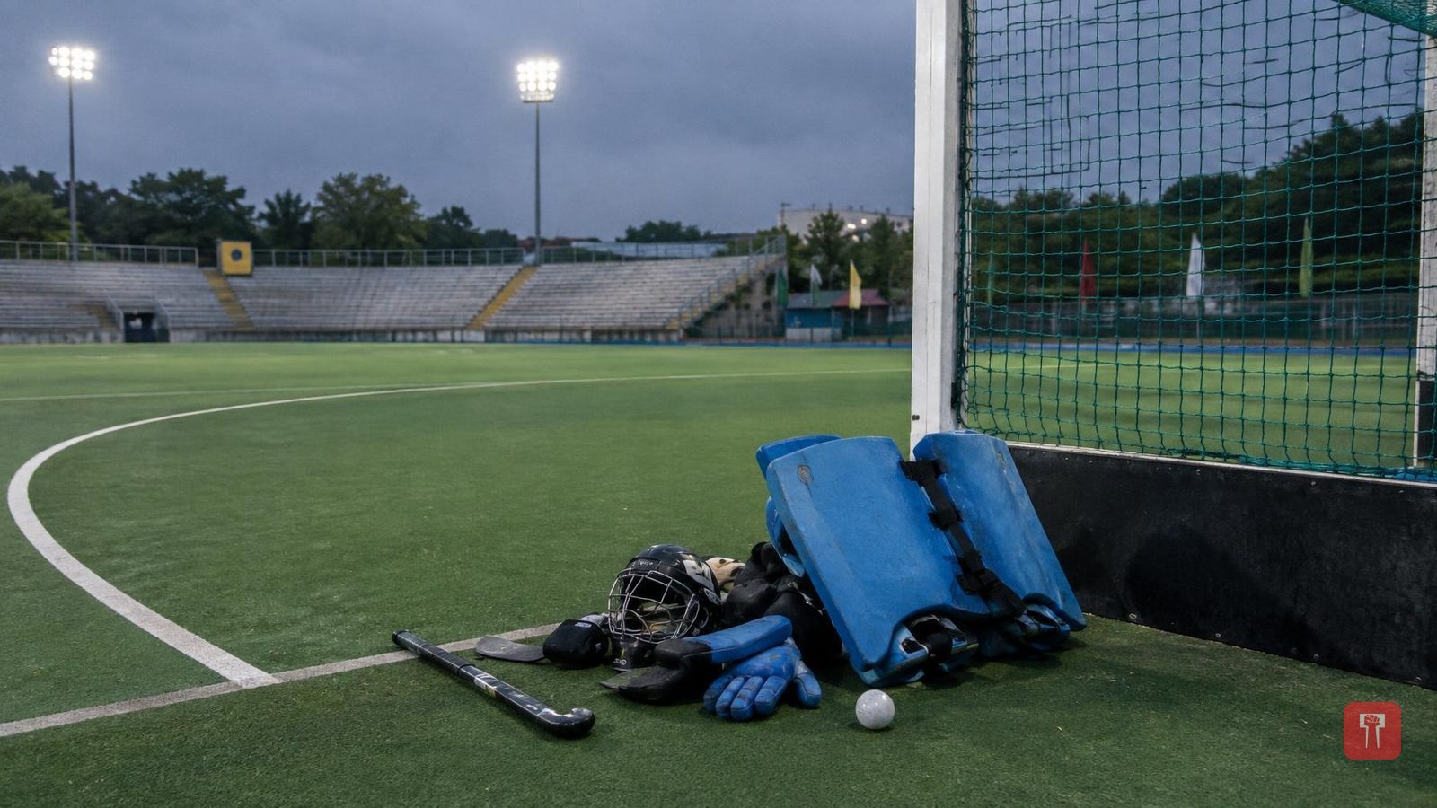 Hockey India : हॉकी इंडियाकडून सविता पूनियाला 10 लाखांचे बक्षिस, हे आहे कारण