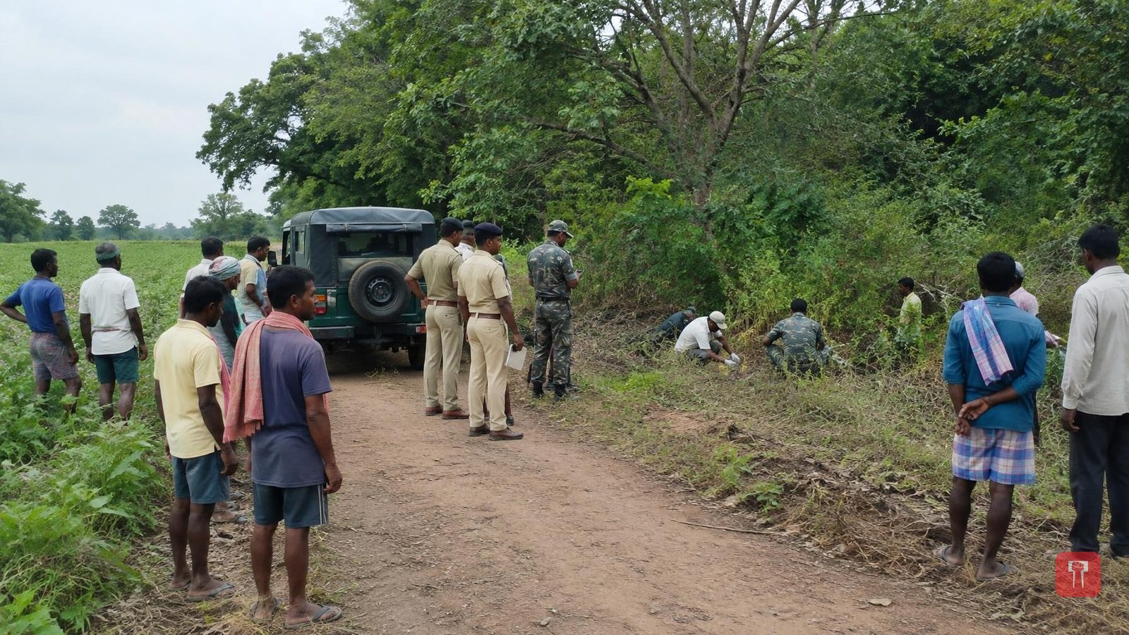 सावलीत वाघाचा हल्ला; जिल्ह्यातील ३१वा बळी