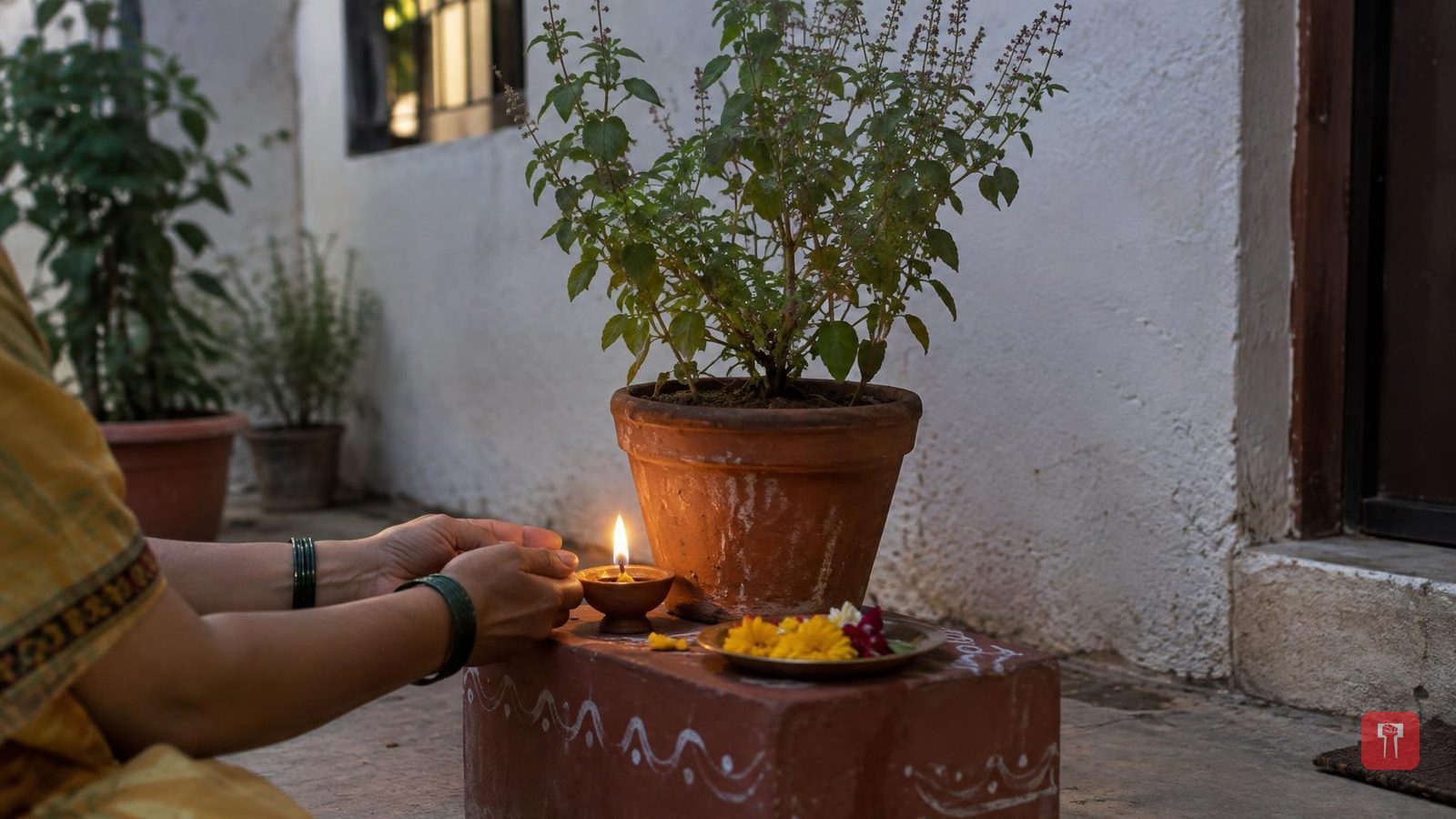 पितृदोष दूर करण्यासाठी वास्तुशास्त्रातले हे 3 सोपे घरगुती उपाय करून पाहा