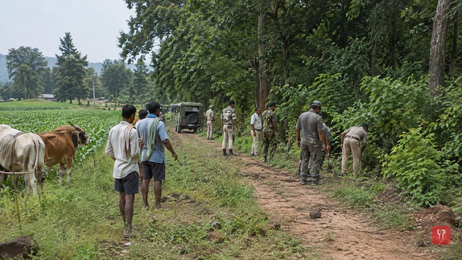 सावलीत वाघाच्या हल्ल्यात दुसऱ्या शेतकऱ्याचा बळी, वडेट्टीवार यांचा प्रशासनाला आंदोलनाचा इशारा