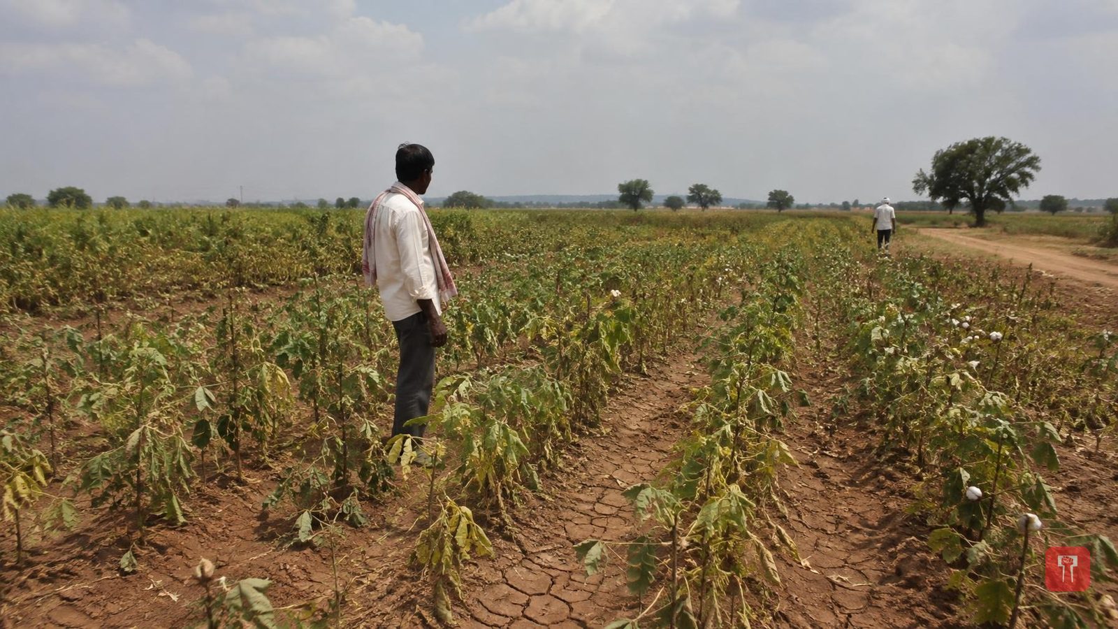 Scattered rain likely in Maharashtra on Sept 29, yellow alert for Raigad and Ratnagiri