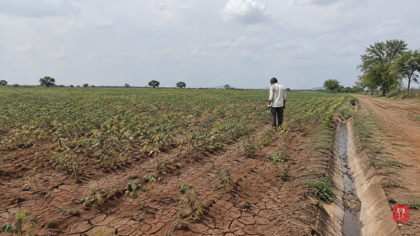 Vidarbha records 27% rain deficit as monsoon set to begin withdrawal