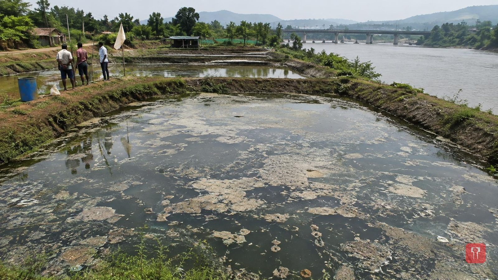 Residents allege illegal catfish farming in ponds along Patalganga in Khalapur, seek inspection