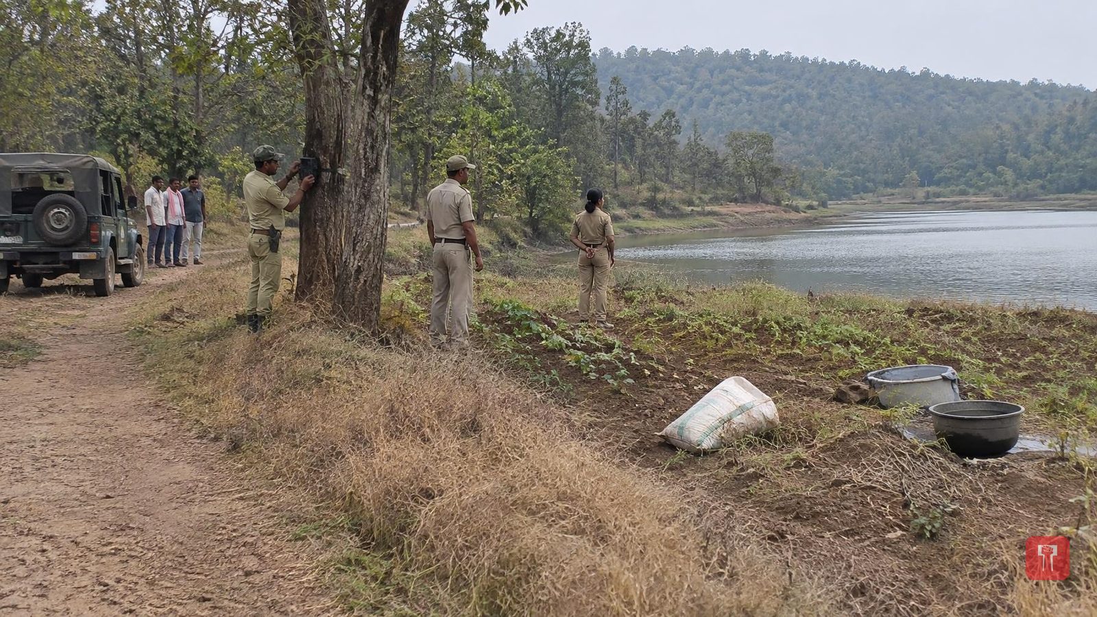Woman, 60, killed in tiger attack in field near Agarzari lake in Tadoba